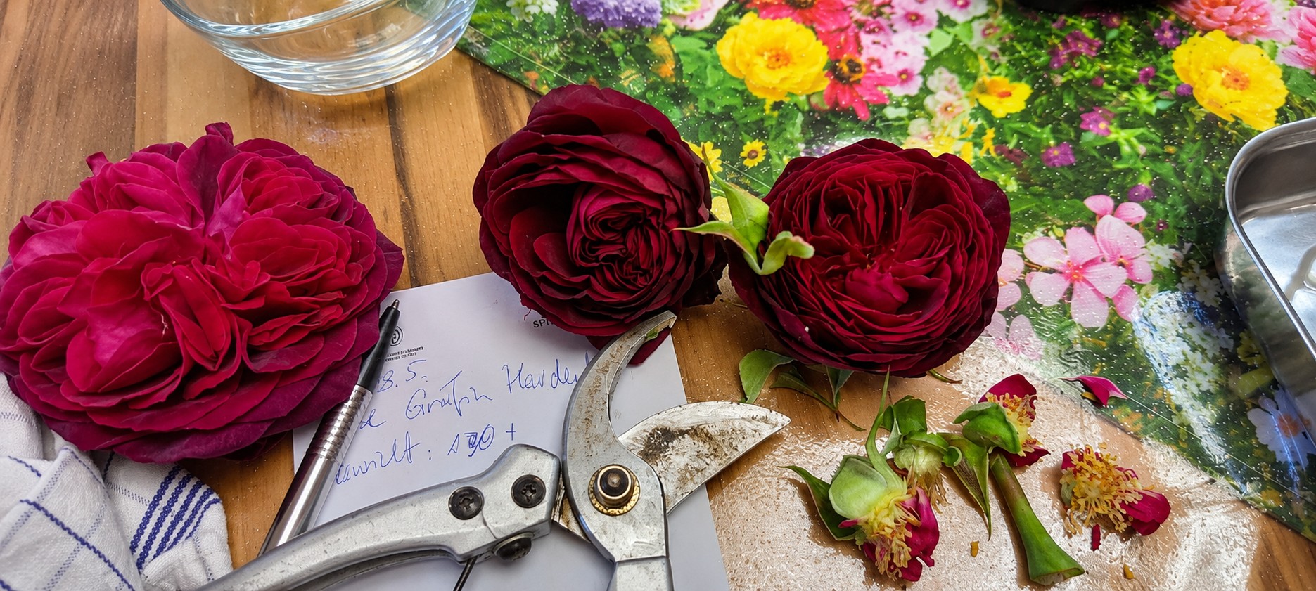 Rosendestillation in Kupferdeestille drei Blten und Schere.jpeg